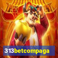 313betcompaga