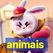 animais-pg.com