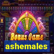 ashemales