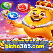 bicho365.com