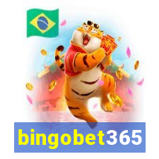 bingobet365