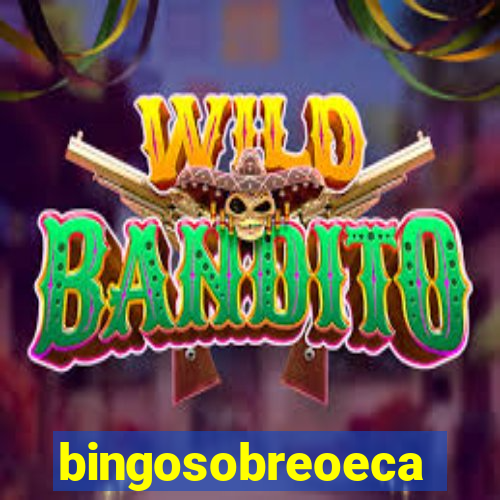 bingosobreoeca