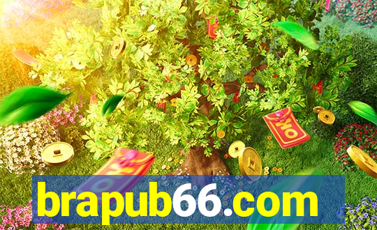 brapub66.com