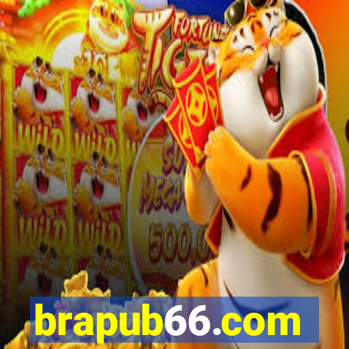 brapub66.com