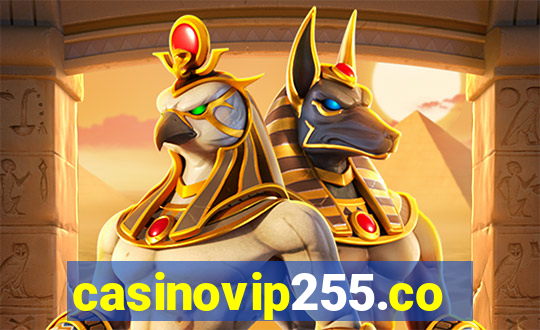 casinovip255.com