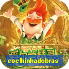 coelhinhadobrasil