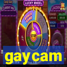 gaycam