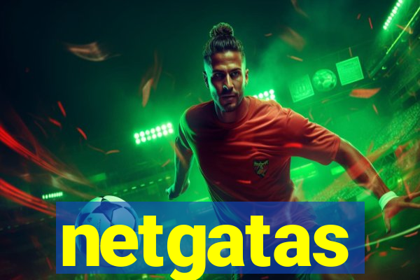 netgatas