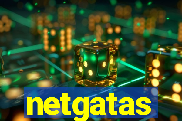 netgatas