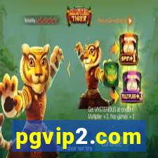 pgvip2.com