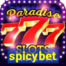 spicybet-1.com