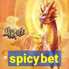 spicybet-2.com