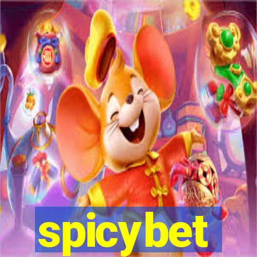 spicybet-4.com