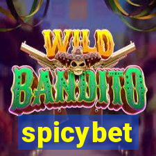 spicybet-4.com