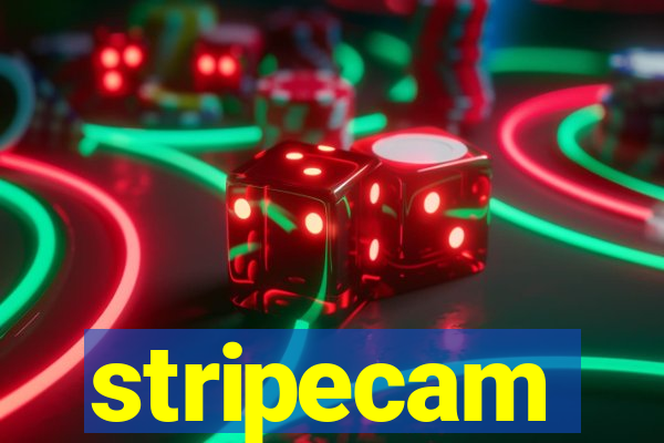 stripecam