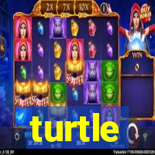 turtle-ty.com