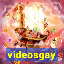 videosgay