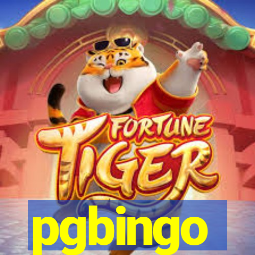 pgbingo