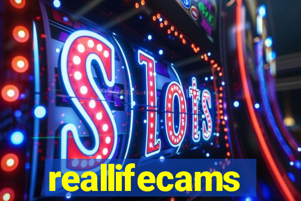 reallifecams